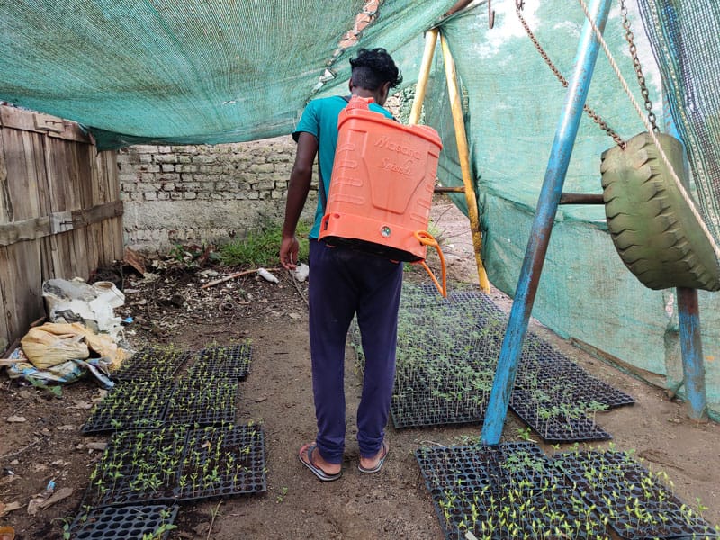 Agriculture livelihood skills